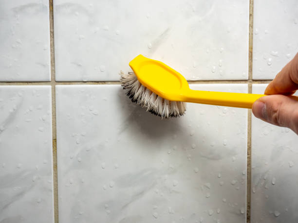 Best Office Mold Removal Services  in Brewton, AL