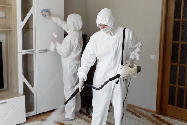 Best Attic Mold Removal  in Brewton, AL