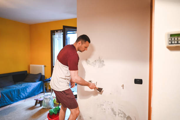 Trusted Brewton, AL Mold Removal Experts